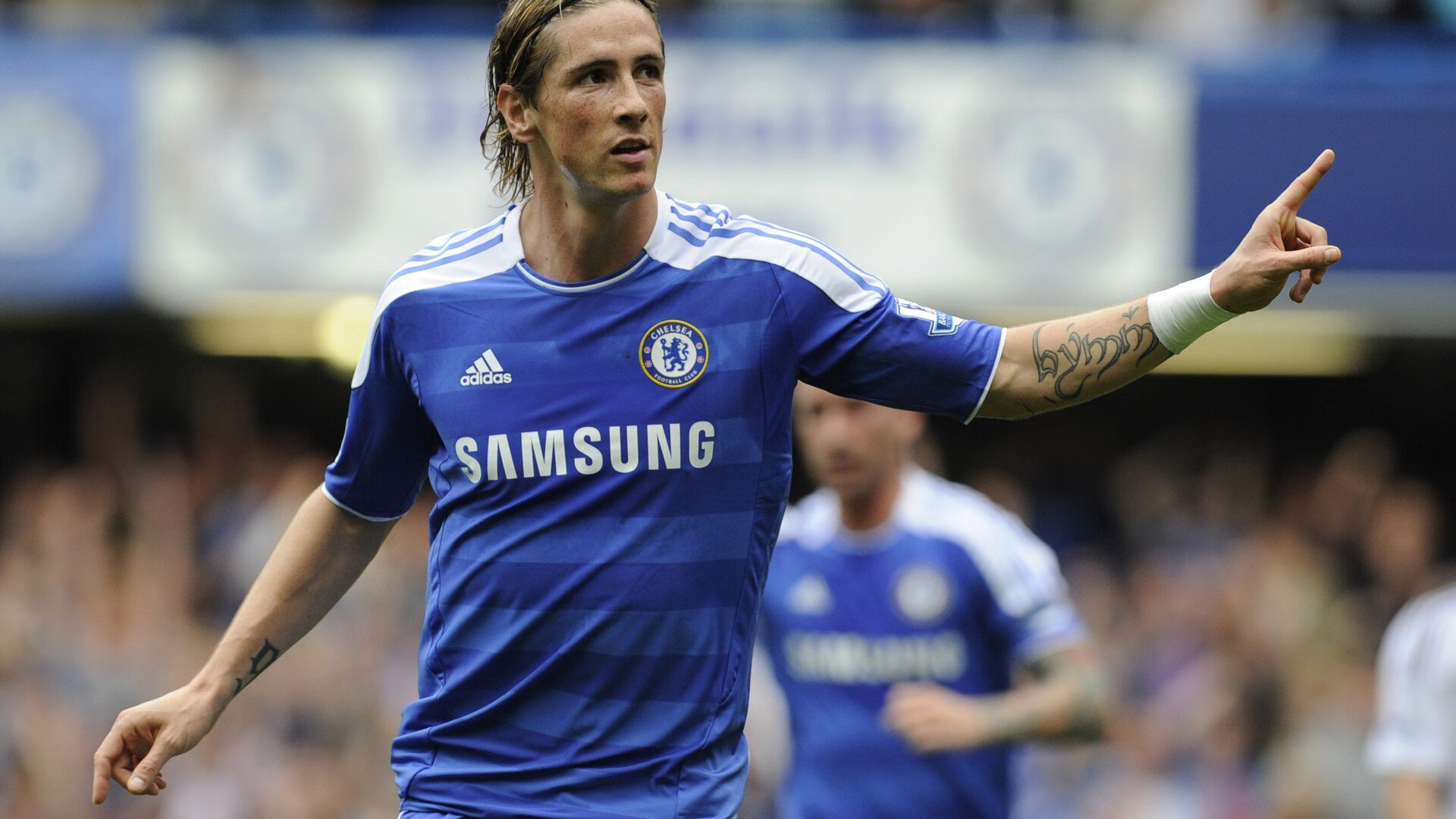 Saito 指挥若定带领攻防有序,指挥若定指的是哪个生肖